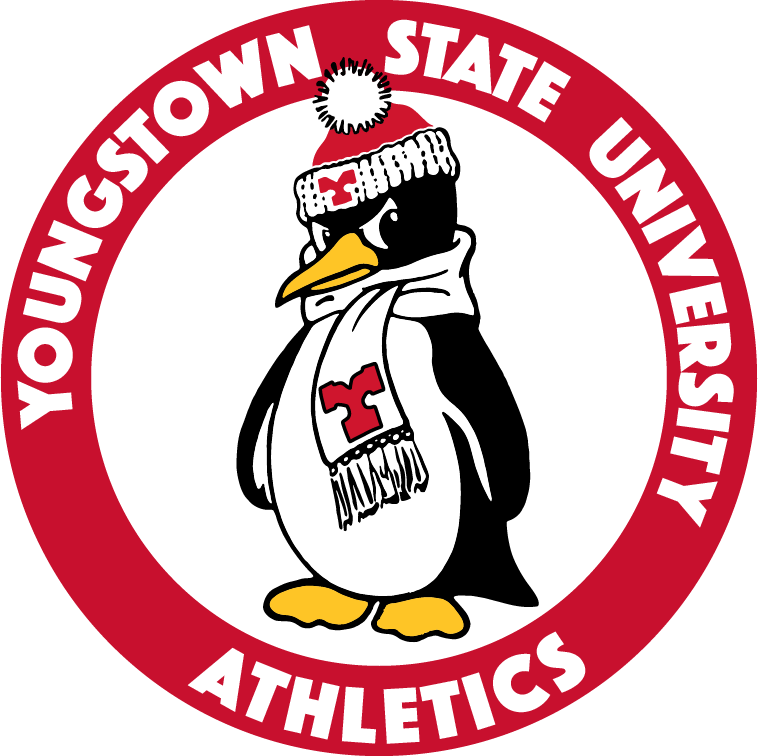 Youngstown State Penguins 1979-2007 Alternate Logo diy DTF decal sticker